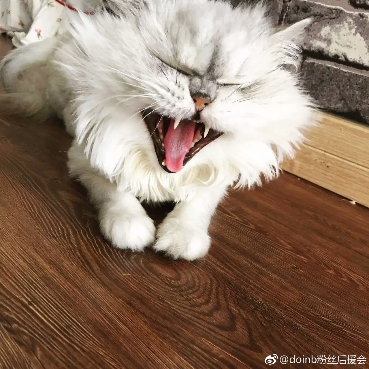 关于Doinb赛事官方发布势不可挡新规,利物浦争议不断!的信息 关于Doinb赛事官方发布势不可挡新规,利物浦争议不断!的信息